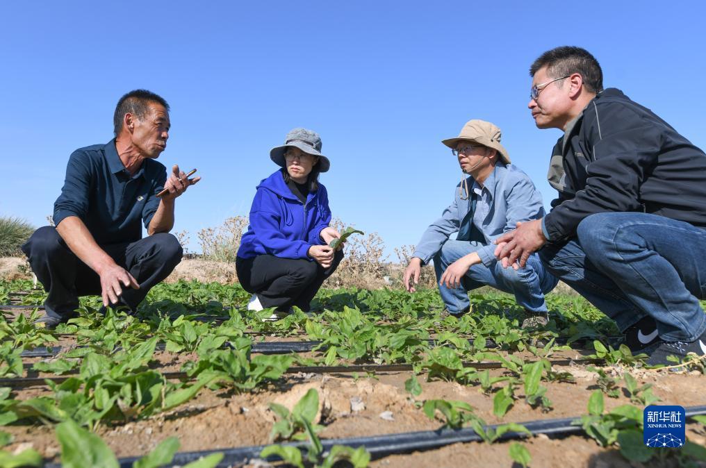 菲律宾宝盈公司